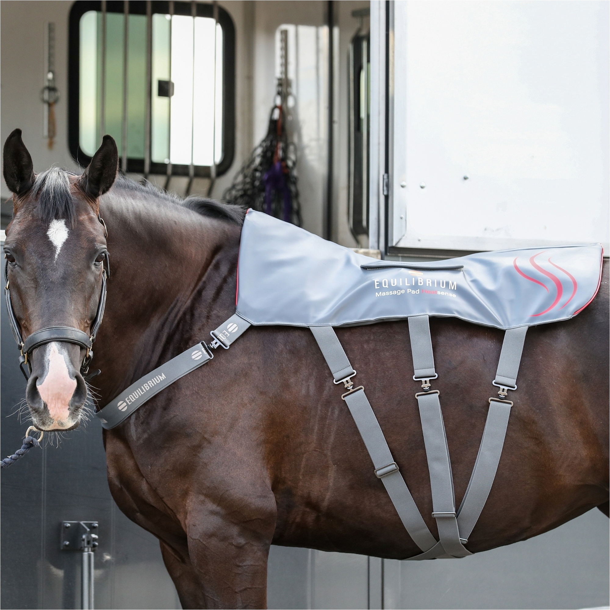 2025 Equilibrium Heatsense Horse Massage Pad 35864 - Grey